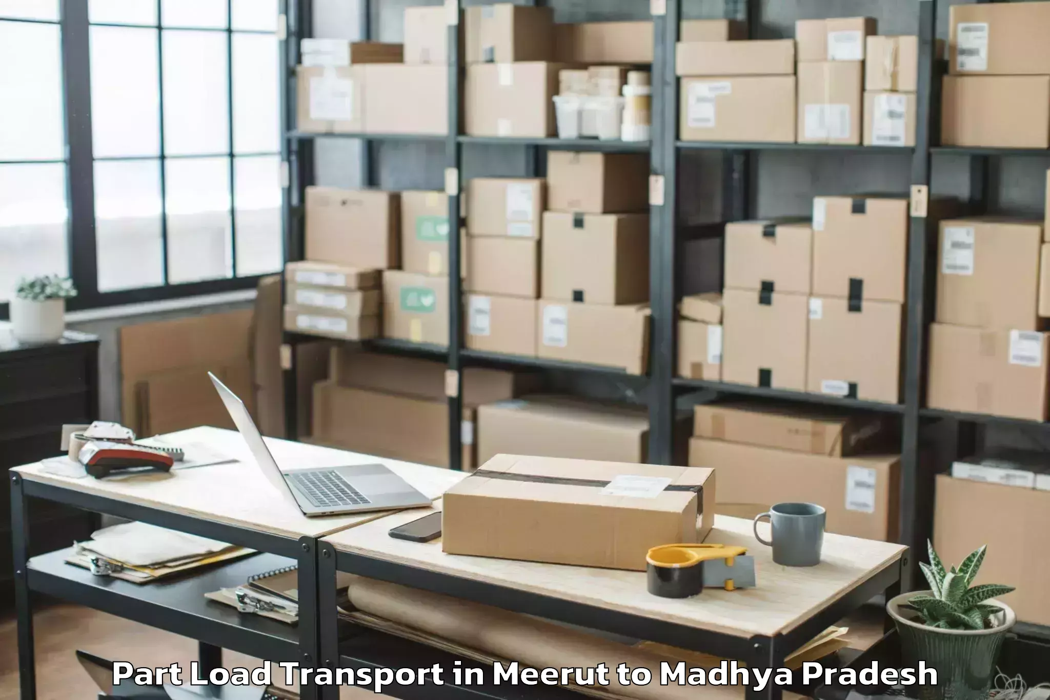 Easy Meerut to Madhyanchal Professional Unive Part Load Transport Booking